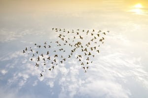Retirement Planning Baton Rouge